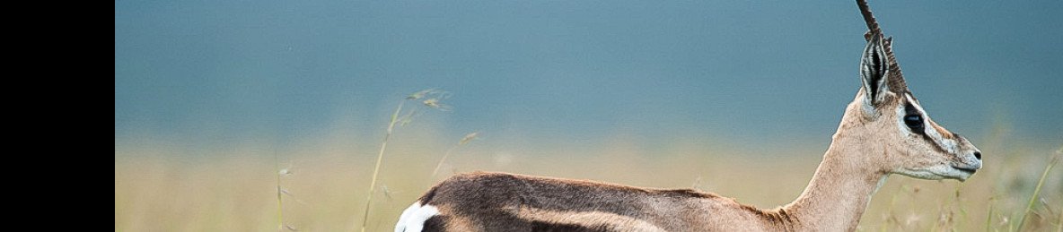 3-Day Explore Amboseli Safari