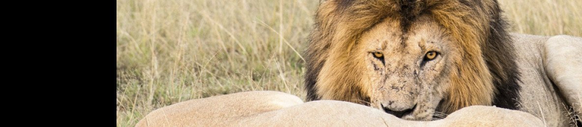 3-Day Super Adventure at Amboseli National Park