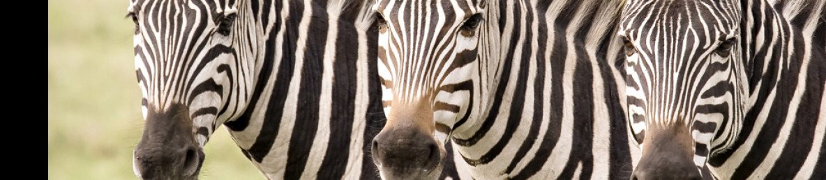6-Day Kenya Adventure Safari