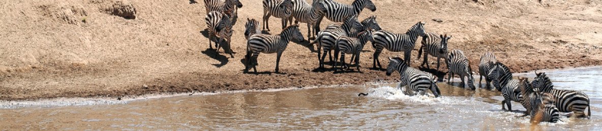 3-Day Masai Mara Experience