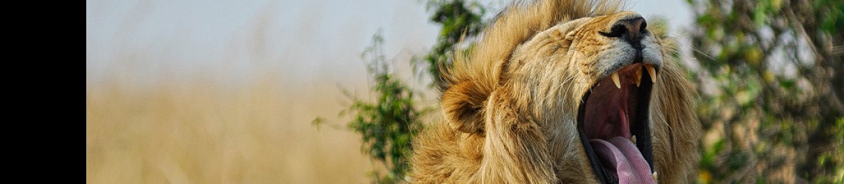 3-Day Magical Masai Mara Joining in a Safari Landcruiser