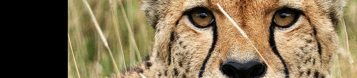 10-Day Highlights of Kenya