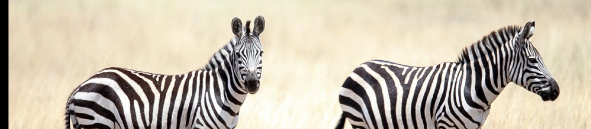 3-Day Into the Wild – Masai Mara Safari