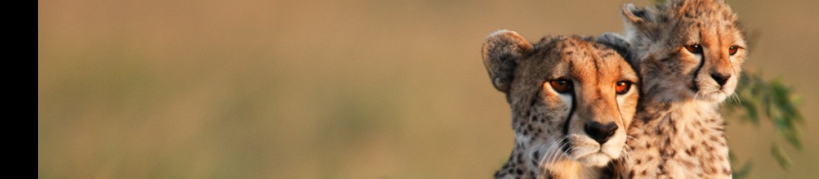 3-Day Masai Mara Sopa Shared Group
