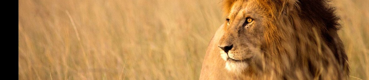 14-Day Ultimate Epic Kenya and Tanzania Adventure Safari