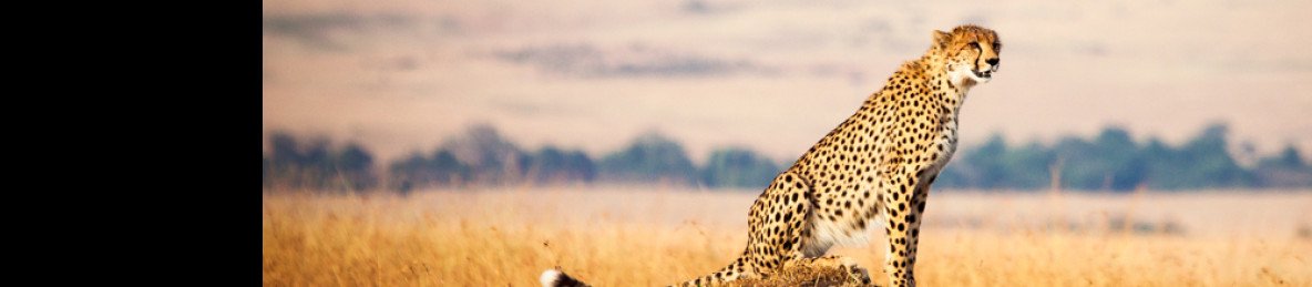 11-Day Best of Kenya and Tanzania