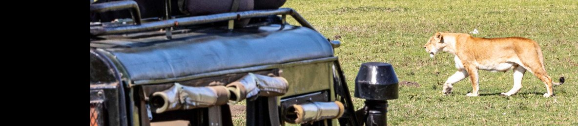 11-Day Great Wildebeest Migration Kenya &Tanzania Safari