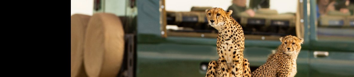 7-Day In Search of the Big 5 and Special 5