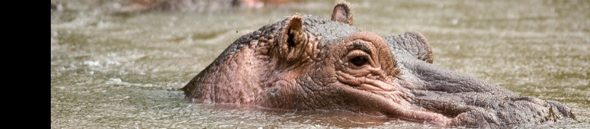 3-Day Meru NP Mid-Range Untamed Adventure