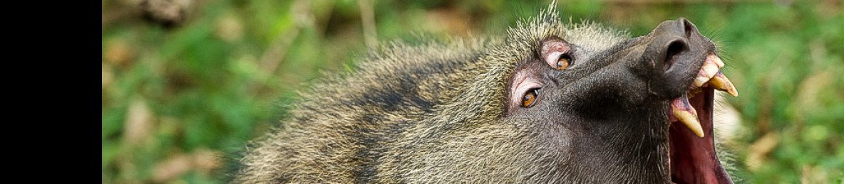 5-Day Masai Mara-Nakuru-Naivasha-Joining Group Budget