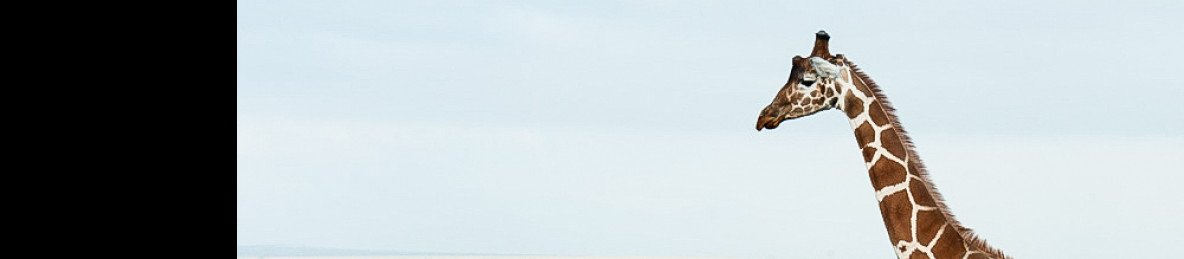 10-Day Luxury Kenya Safari Adventure