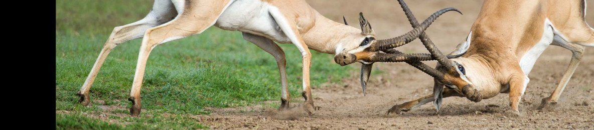 8-Day Kenya Adventure Safari