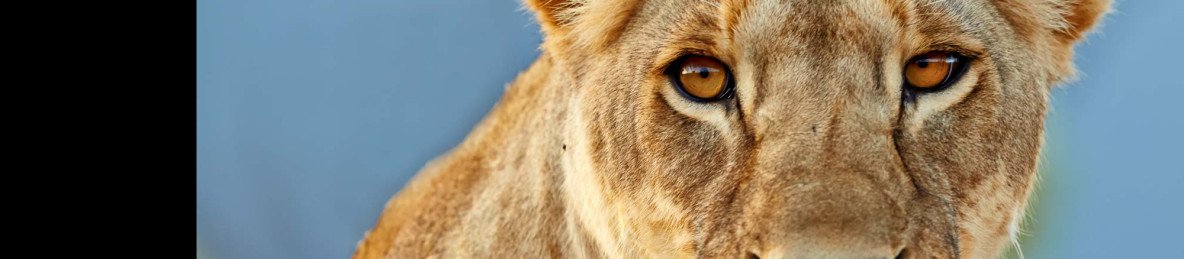 5-Day Kenya Signature Safari