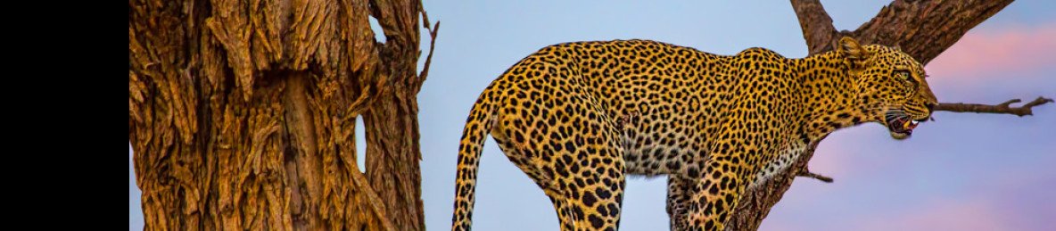 6-Day Echoes of the Wild - Luxury Camps & Bush Flights