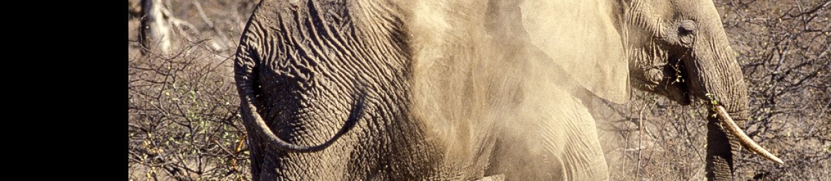 5-Day Northern Kenya Golden Getaways