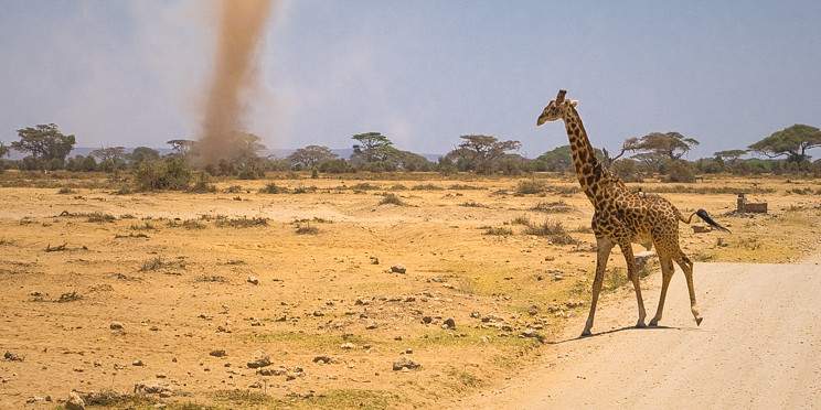 2-Day Safari to Amboseli
