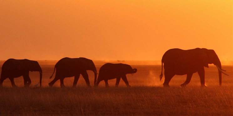 14-Day Kenya Family Adventure Safari