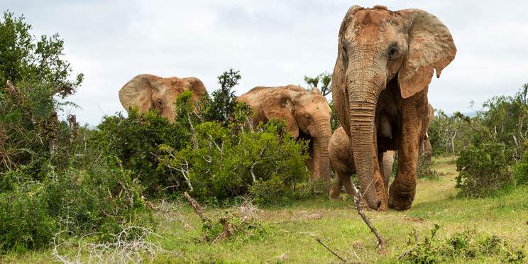 7-Day Kenya Adventure Safari