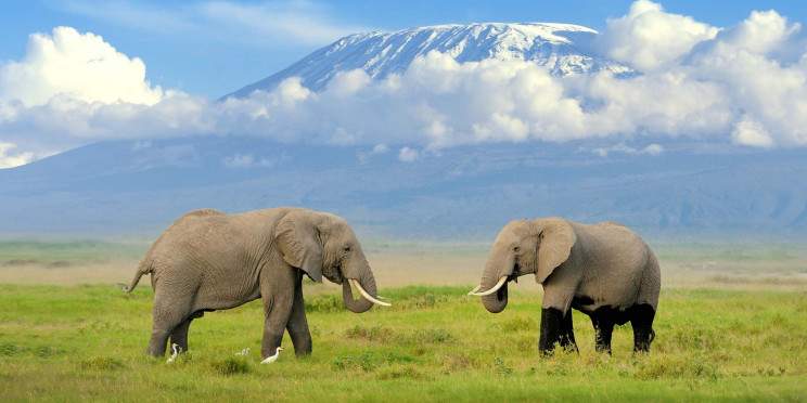 4-Day Kenya's Southern Frontier Adventure
