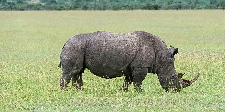 3-Day Masai Mara Joining Group Tour