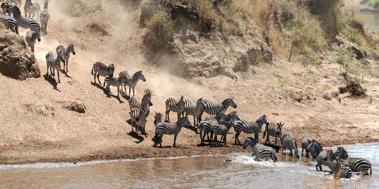 3-Day Masai Mara Experience