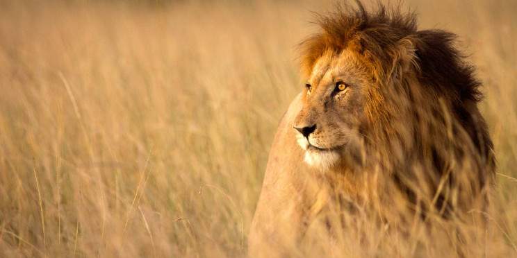 14-Day Ultimate Epic Kenya and Tanzania Adventure Safari