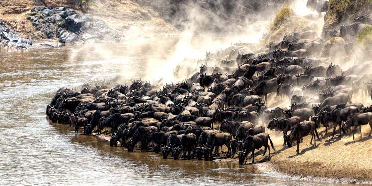 6-Day Kenya and Tanzania Fly-in Migration Safari