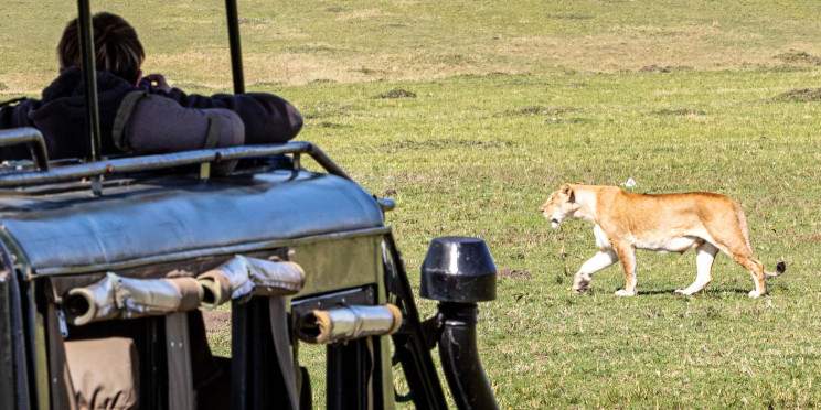 11-Day Great Wildebeest Migration Kenya &Tanzania Safari