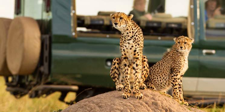 7-Day In Search of the Big 5 and Special 5