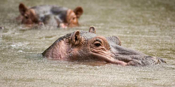 3-Day Meru NP Mid-Range Untamed Adventure