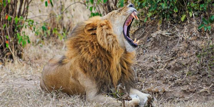 3-Day Kruger National Park Experience