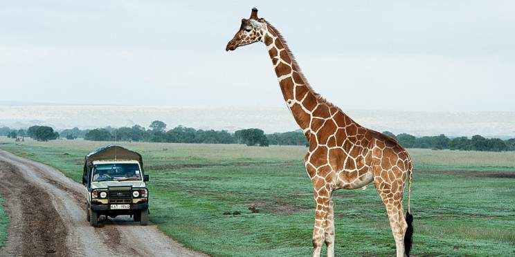 10-Day Luxury Kenya Safari Adventure