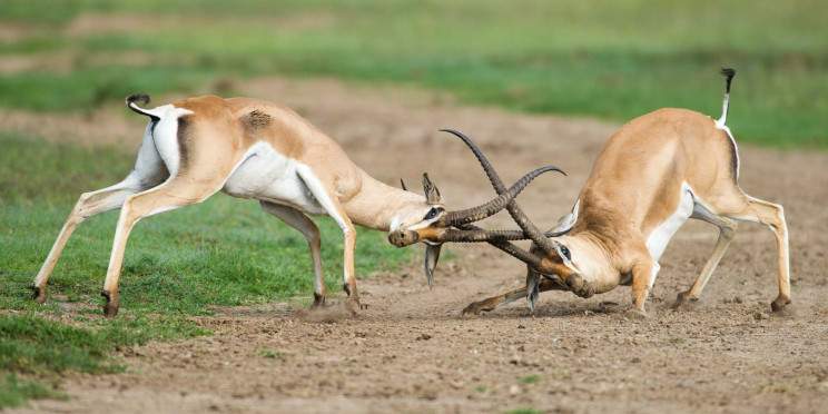 8-Day Kenya Adventure Safari