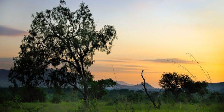 3-Day Ruma NP to Rusinga Island Western Safari