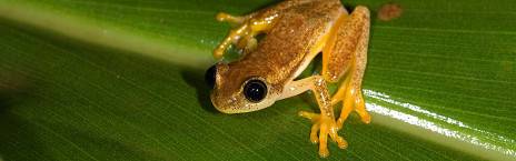 12-Day Luxury Madagascar Tour