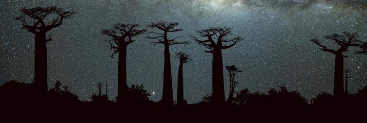 Morondava