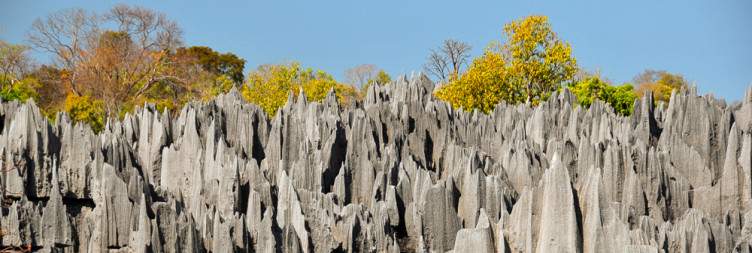 Morondava - Tsingy de Bemaraha