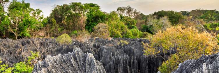 Visit to the Tsingy de Bemaraha National Park