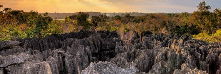 Visit the Tsingy de Bemaraha