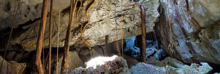 Visit Tsingy de Bemaraha National Park