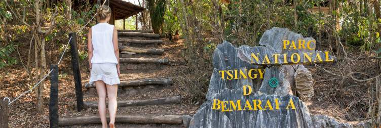 Visiting Tsingy of Bemaraha (17km)