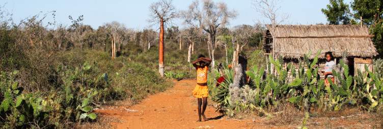 Baobabs & Beaches