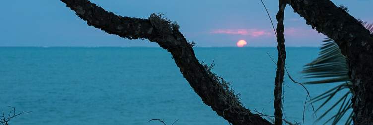 Straight to the Sea in Ifaty