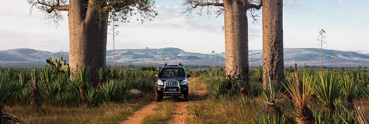 Discover Mandrare River Camp