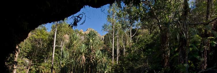 The Oasis in Isalo National Park