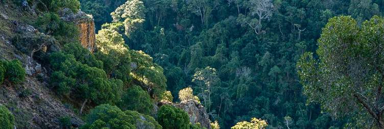 Ranomafana - Isalo National Park