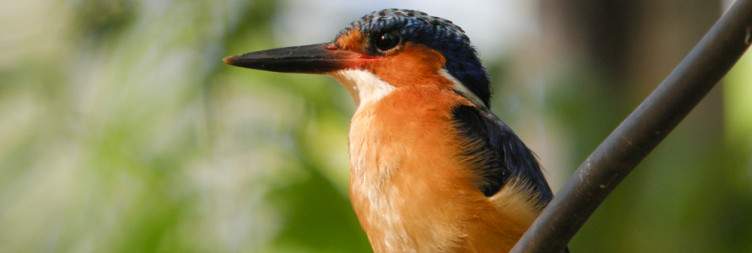 Antsirabe - Ankiba Lodge