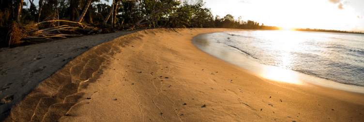 Palmarium Reserve to Mahambo