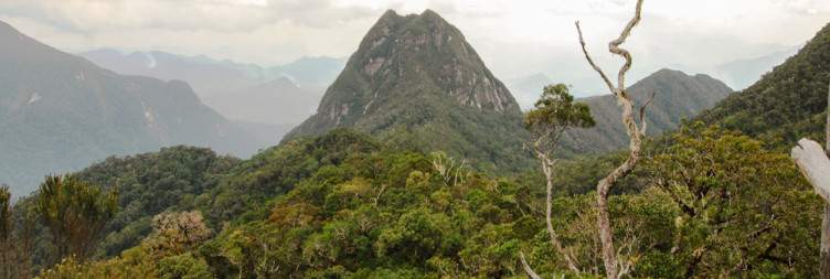 Flight to Sambava and Transfer to Marojejy National Park