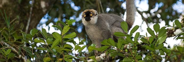 Antsirabe-Ranomafana National Park